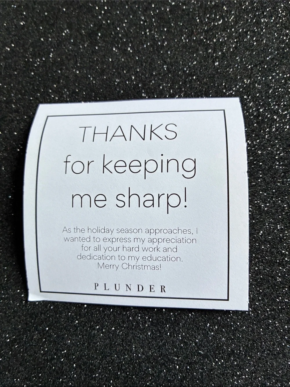 Plunder fun earrings